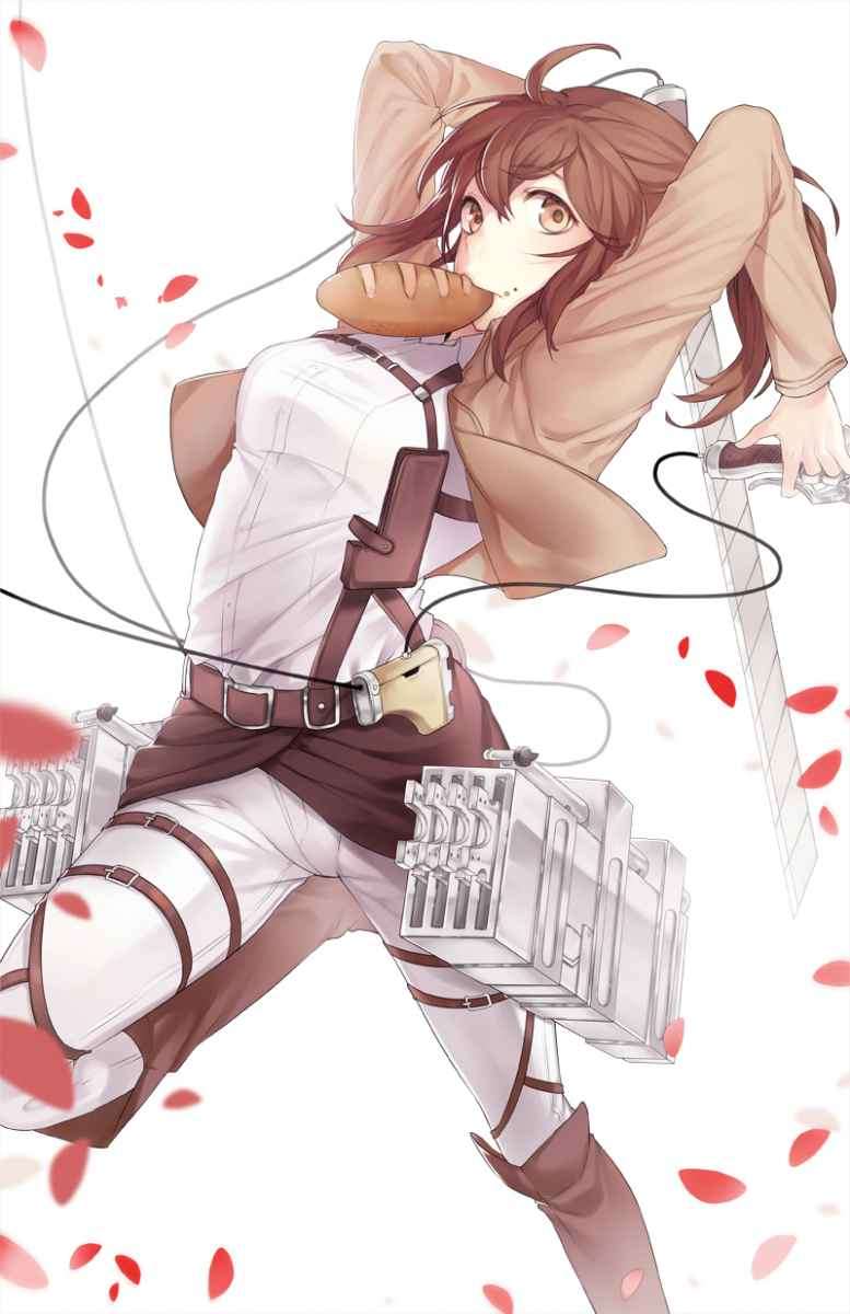 Read Attack on Titan ID Manga Online