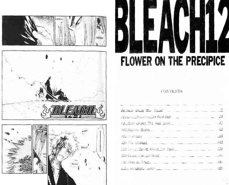 Read Bleach ID Manga Online