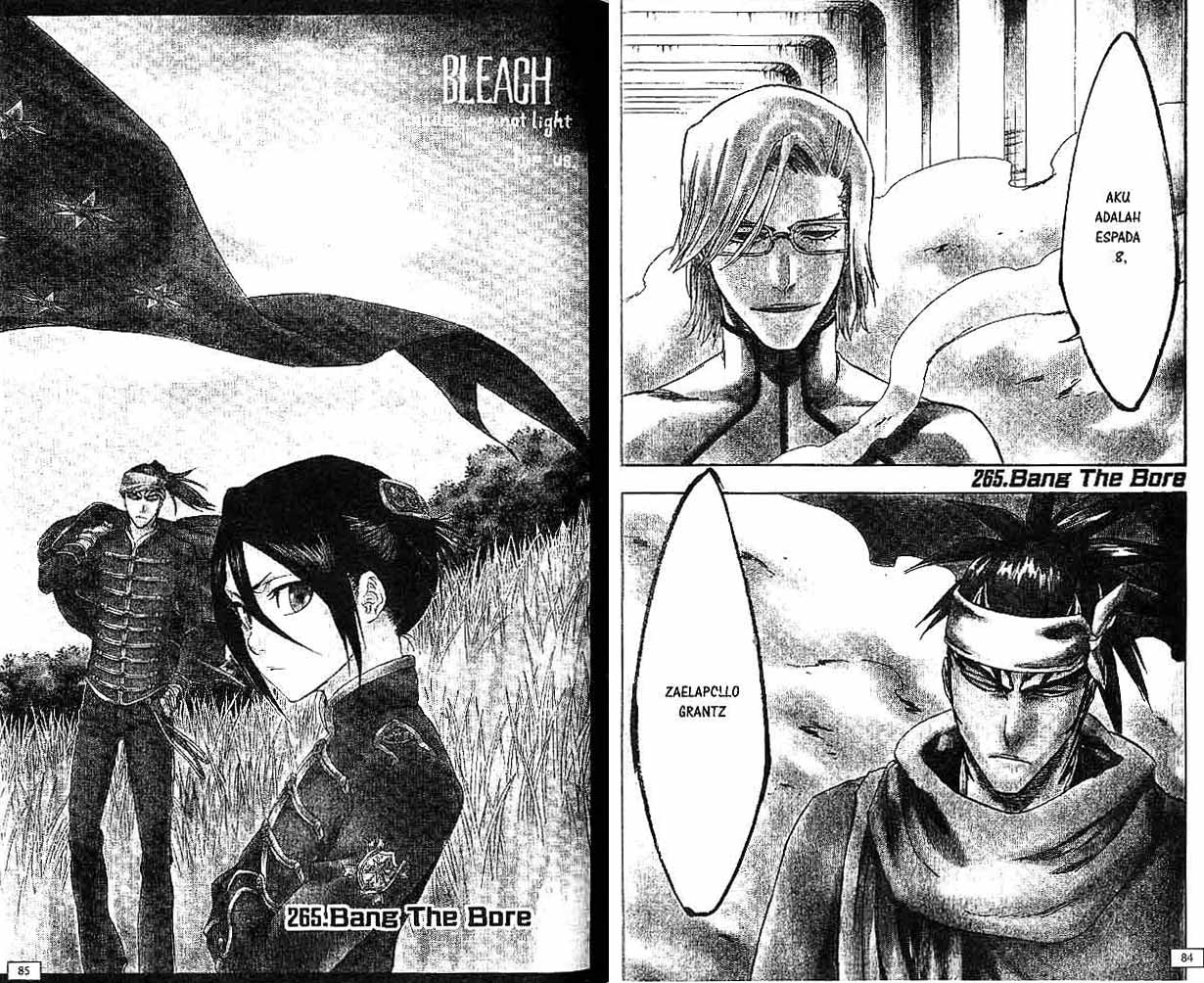 Read Bleach ID Manga Online