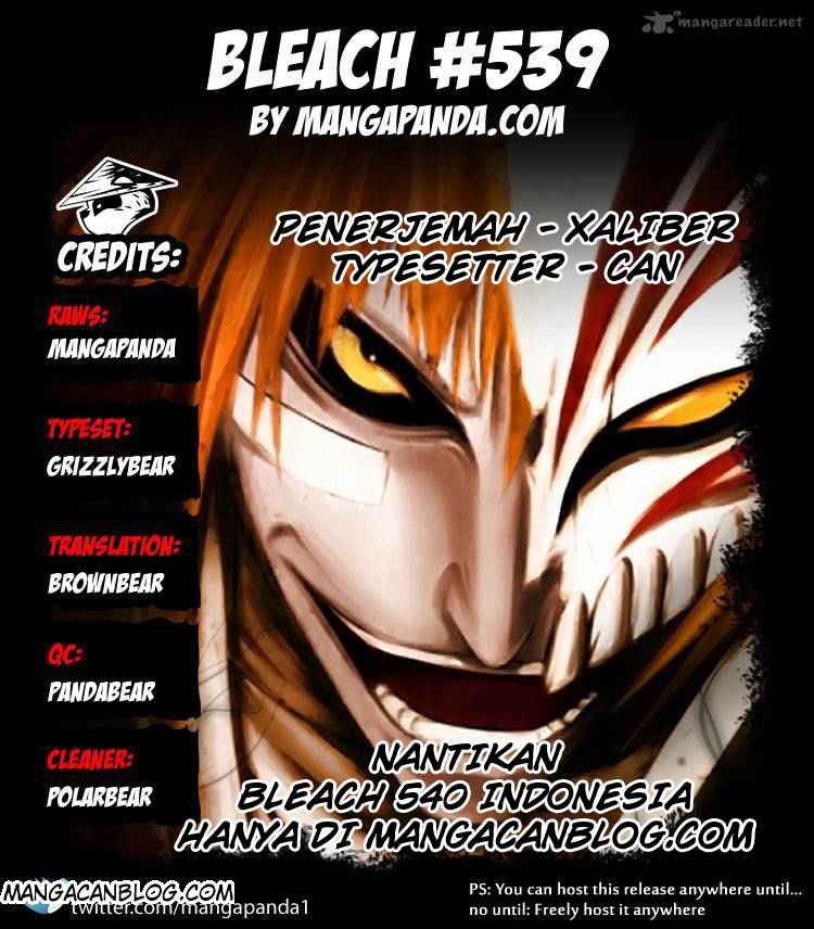Read Bleach ID Manga Online