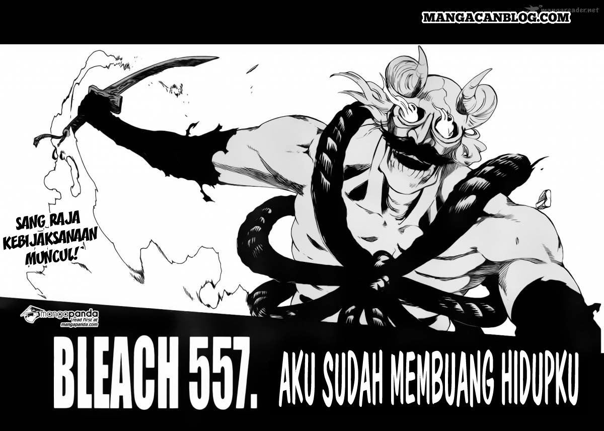 Read Bleach ID Manga Online