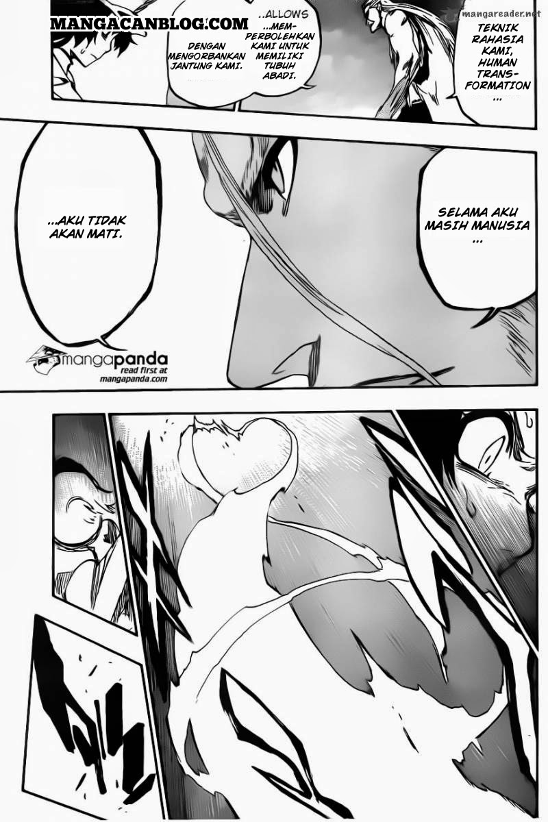 Read Bleach ID Manga Online