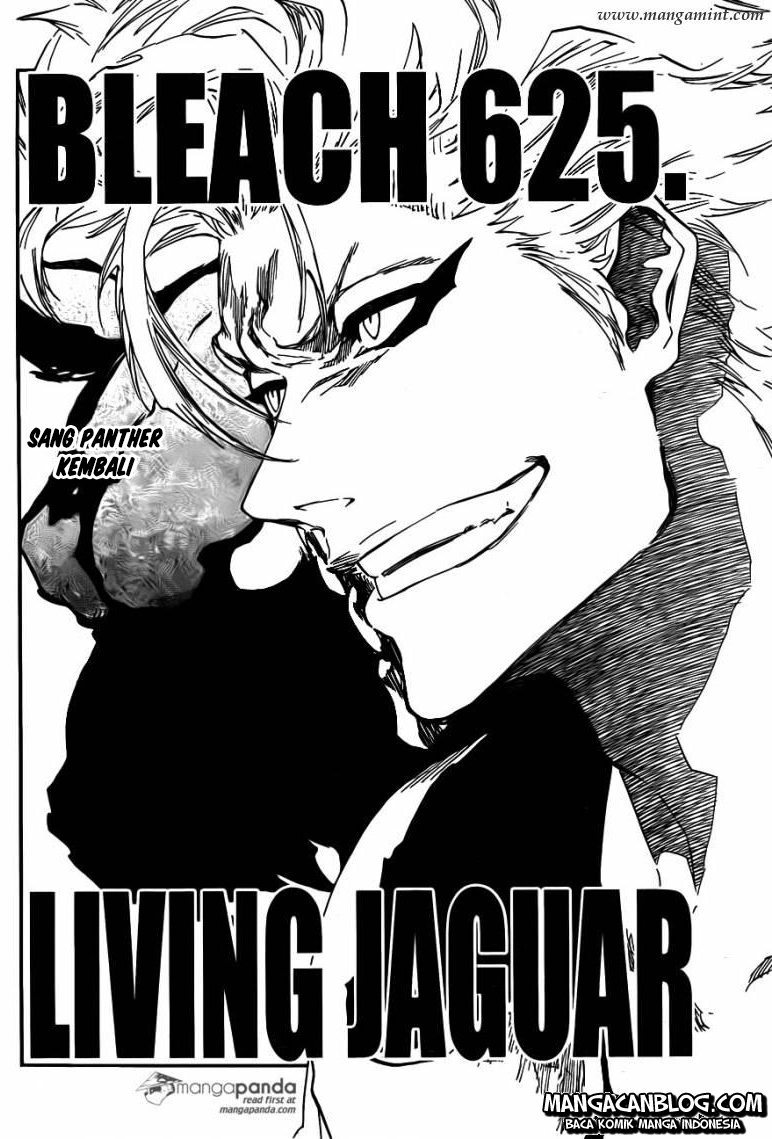 Read Bleach ID Manga Online