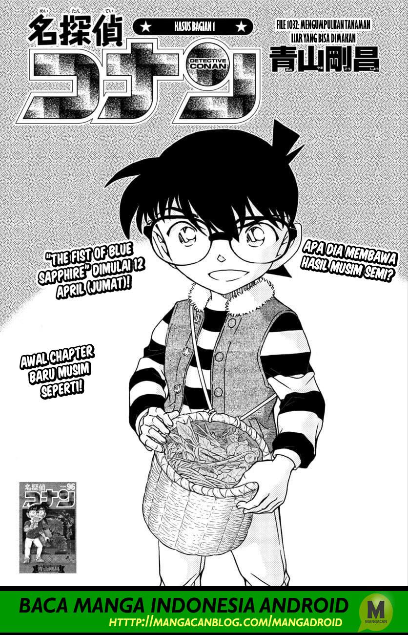 Read Detective Conan ID Manga Online