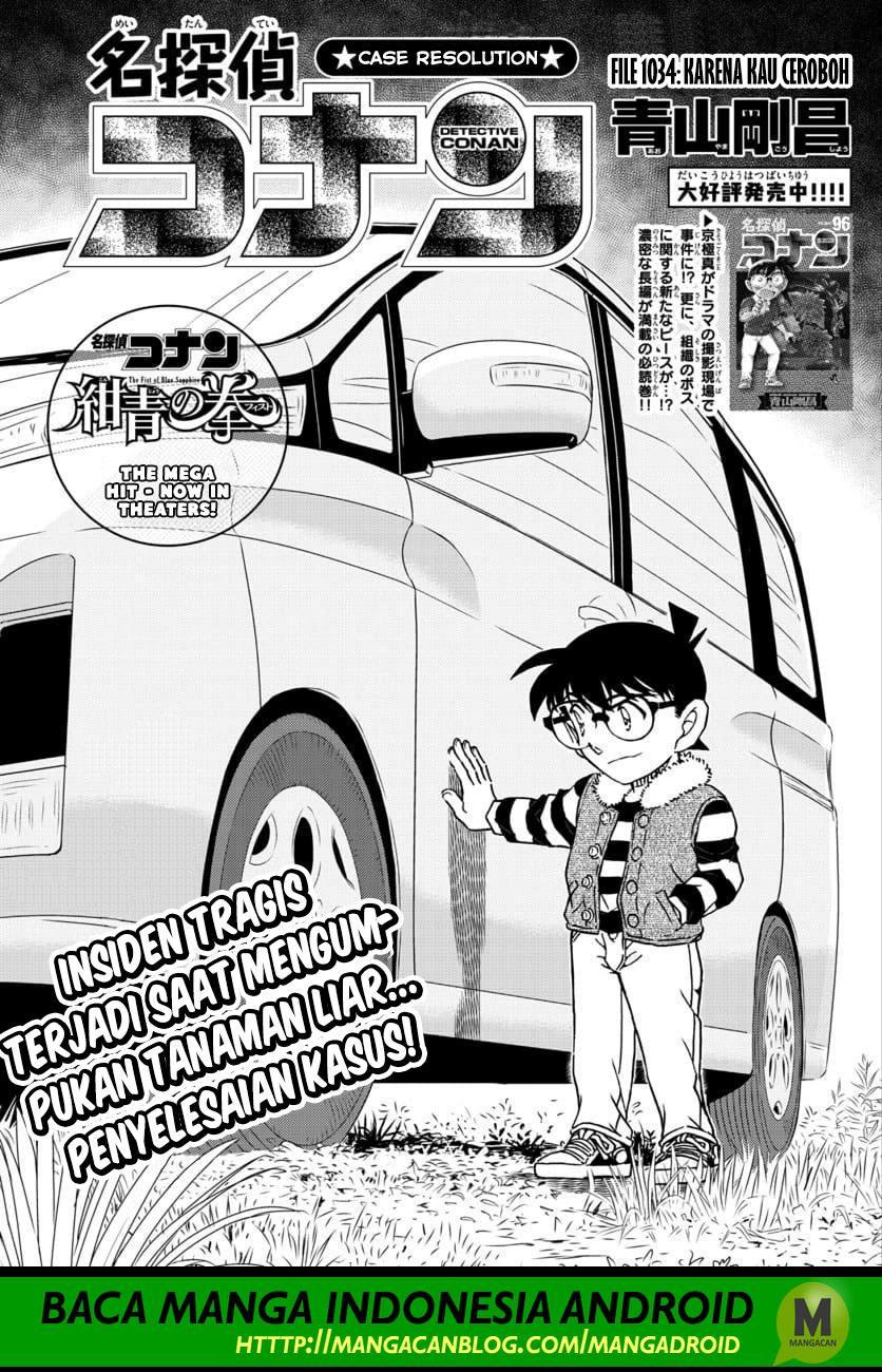 Read Detective Conan ID Manga Online
