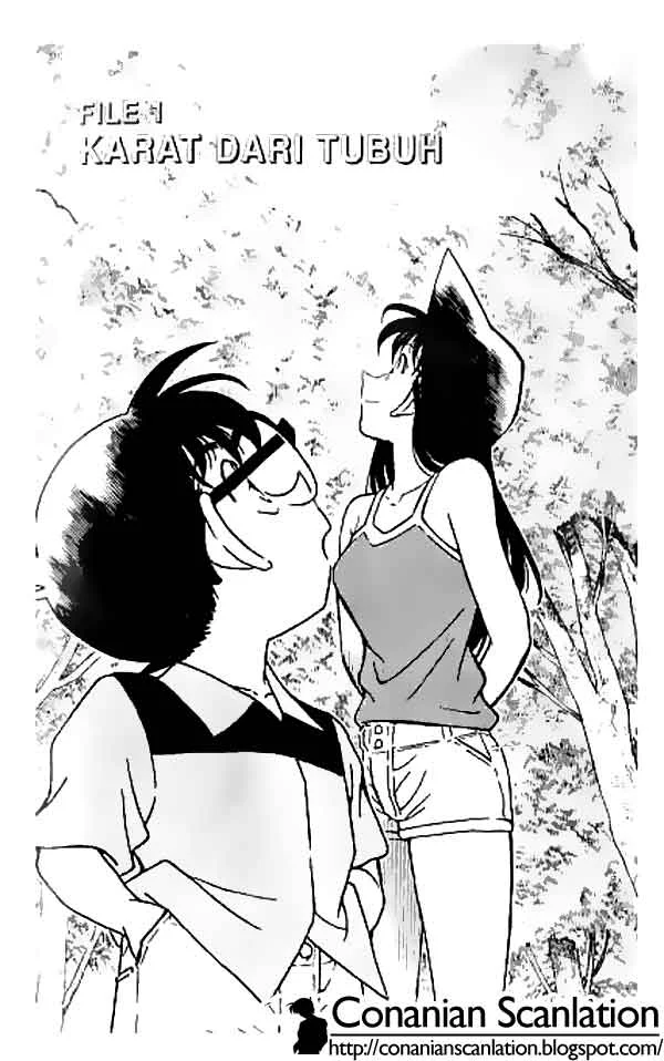 Read Detective Conan ID Manga Online