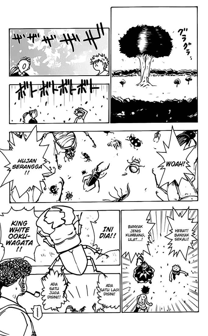 Read Hunter x Hunter ID Manga Online