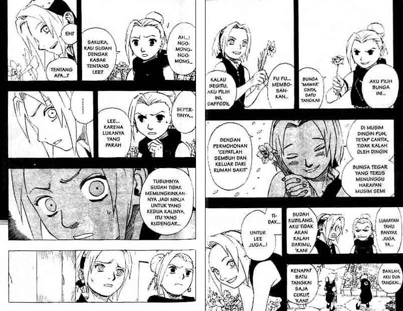 Read Naruto ID Manga Online