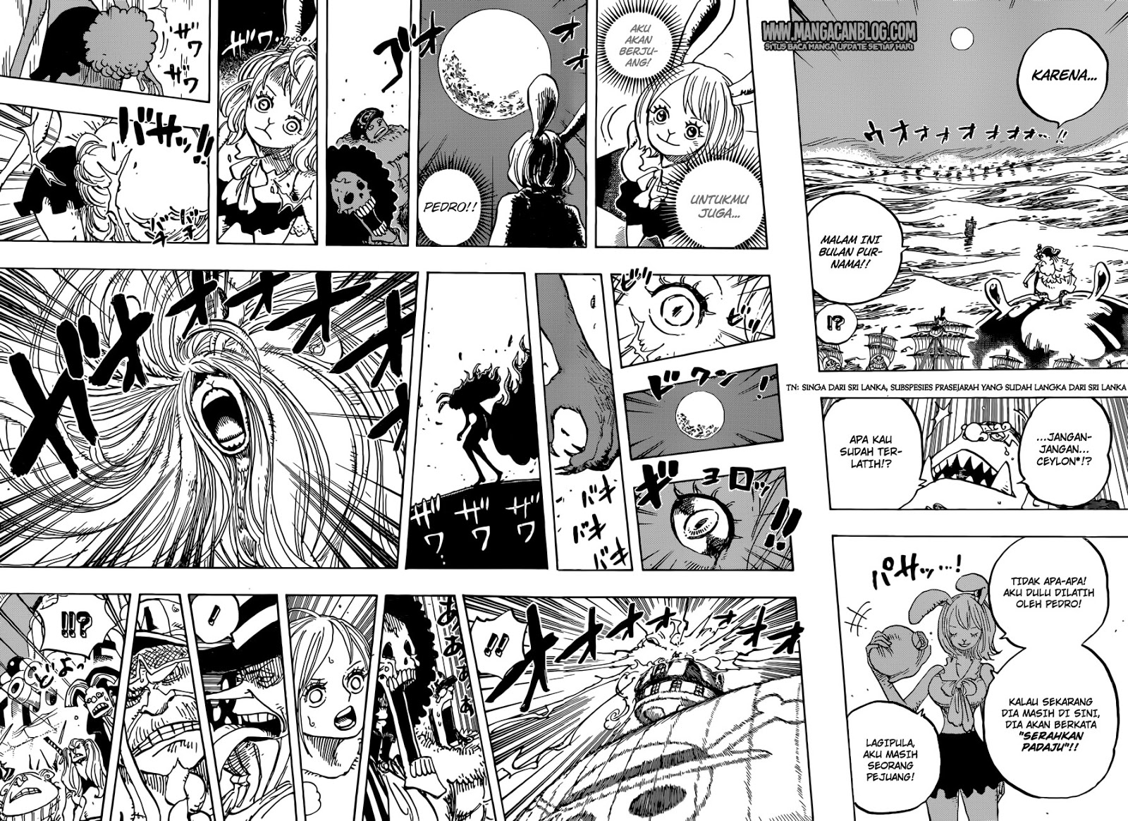 Read One Piece ID Manga Online