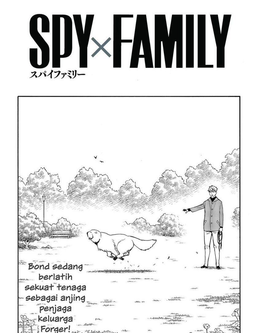Read Spy X Family ID Manga Online