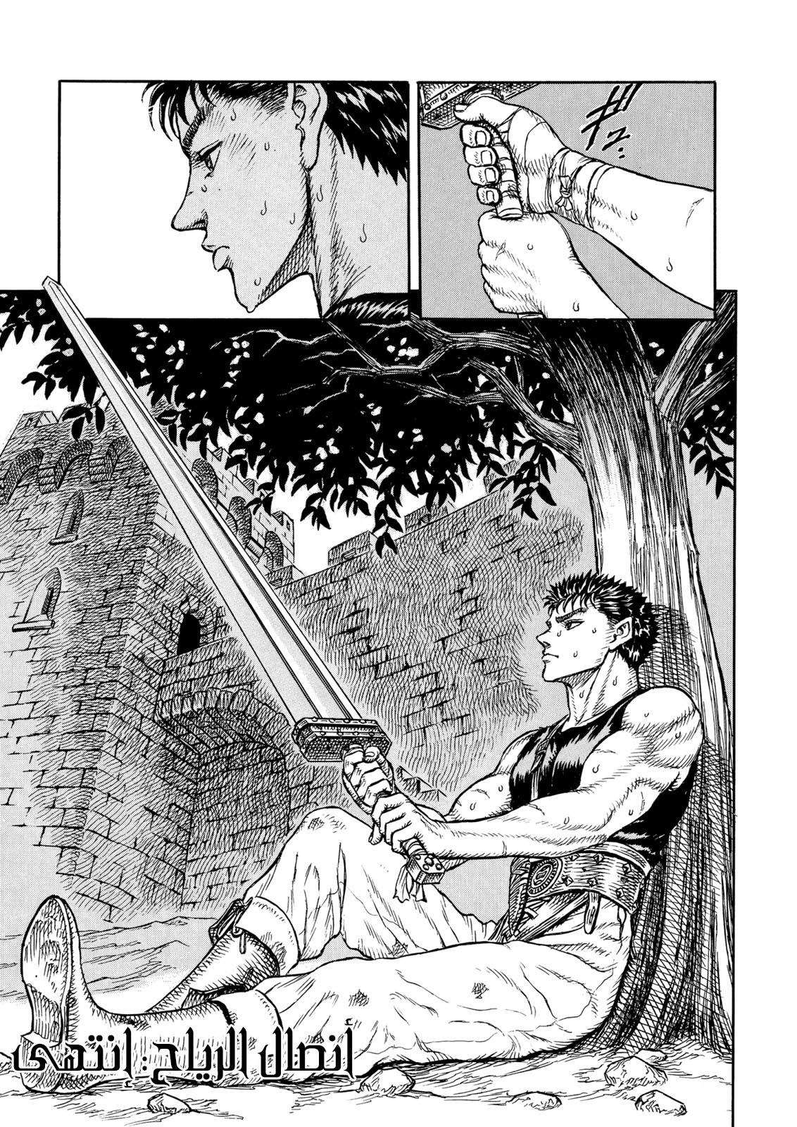 Read Berserk AR Manga Online