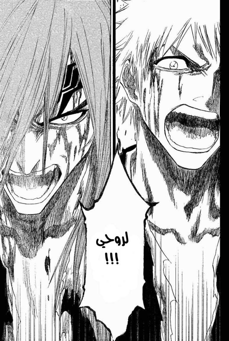 Read Bleach AR Manga Online