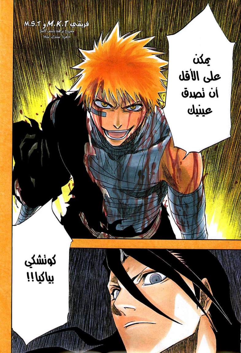 Read Bleach AR Manga Online