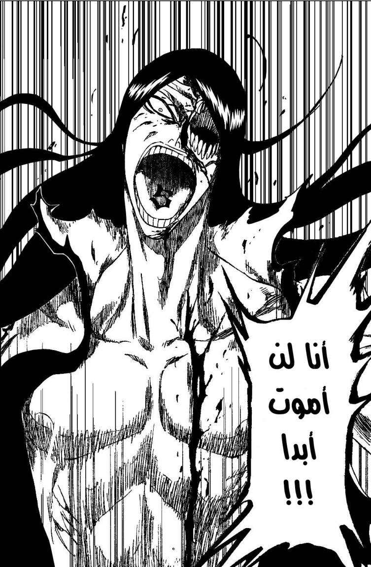 Read Bleach AR Manga Online