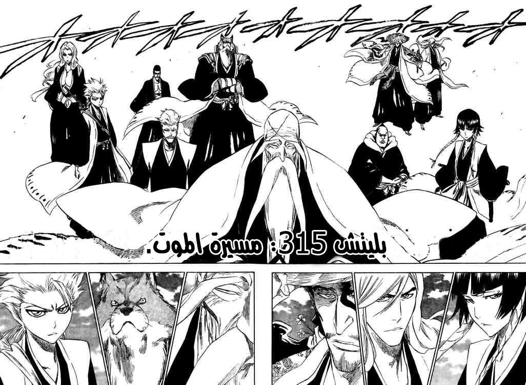 Read Bleach AR Manga Online