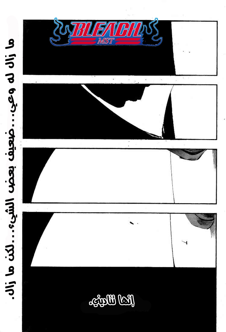 Read Bleach AR Manga Online