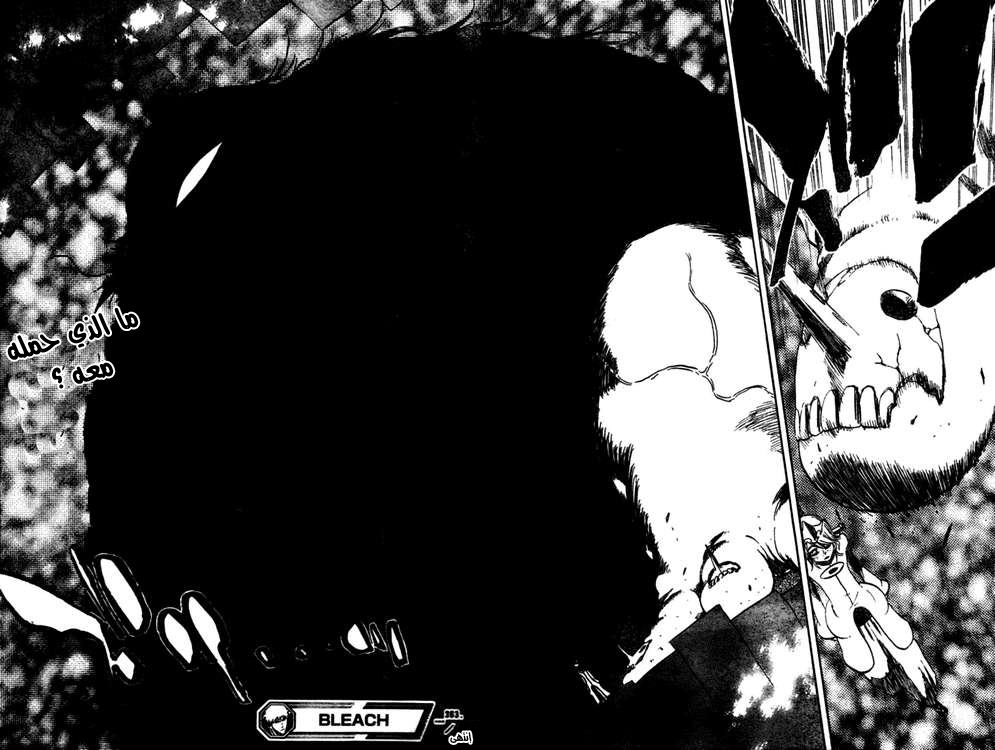 Read Bleach AR Manga Online