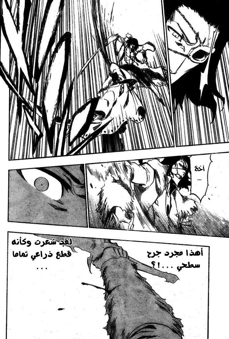 Read Bleach AR Manga Online