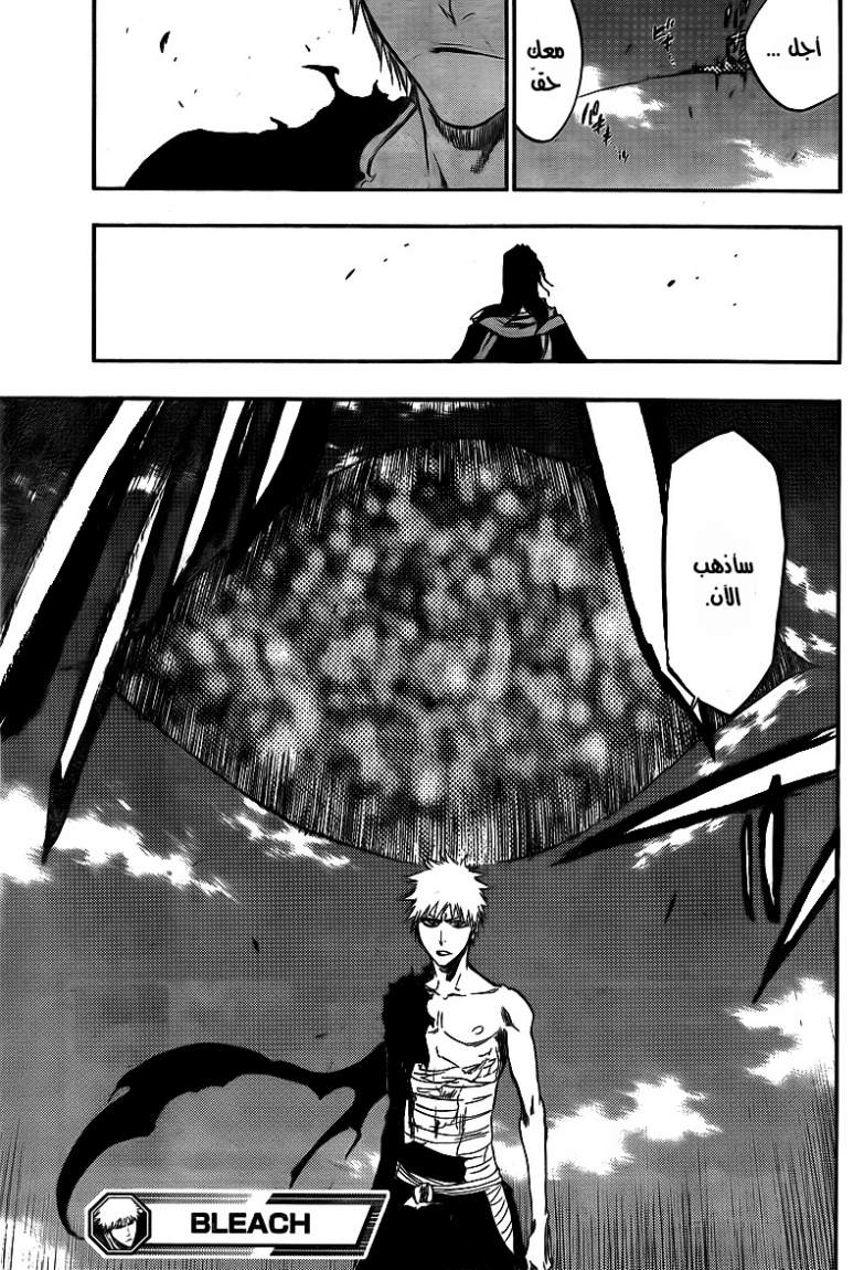 Read Bleach AR Manga Online