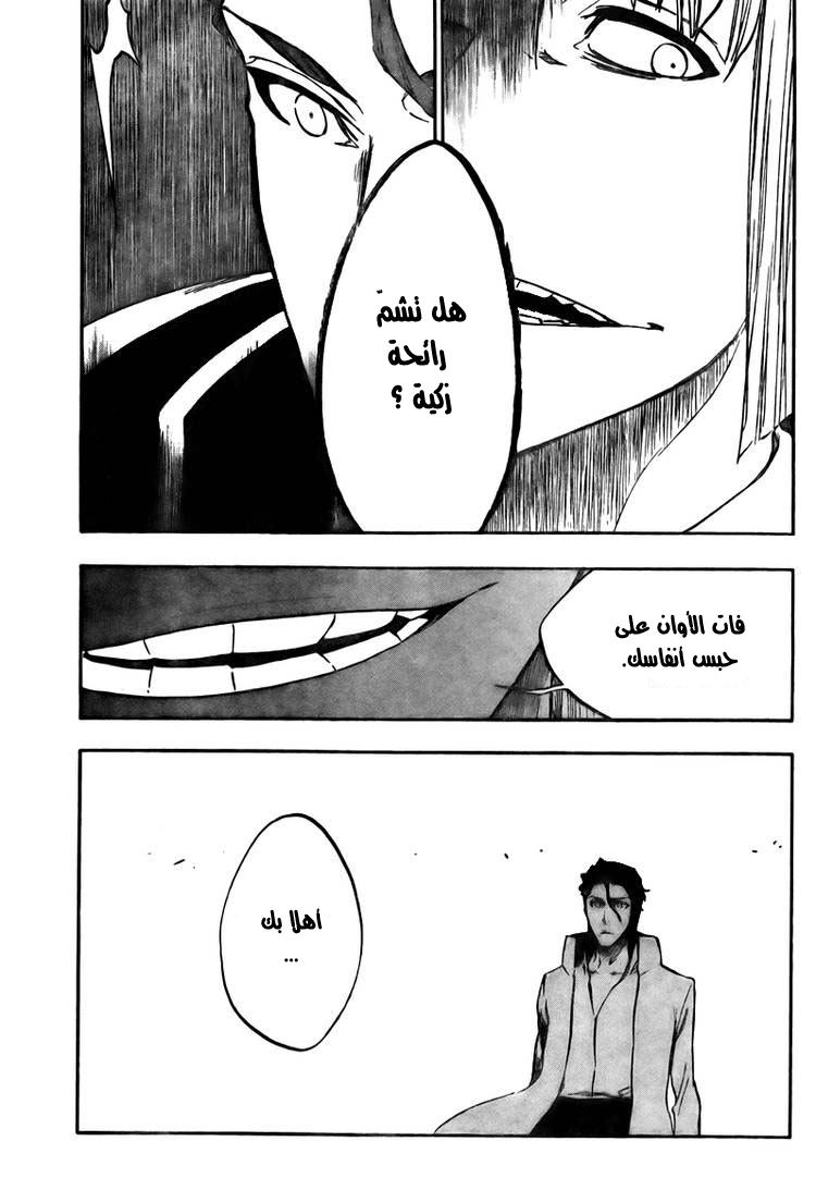 Read Bleach AR Manga Online