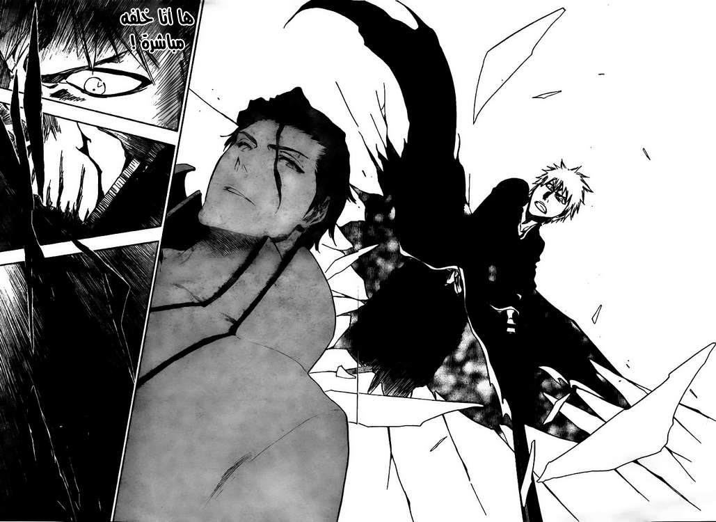 Read Bleach AR Manga Online