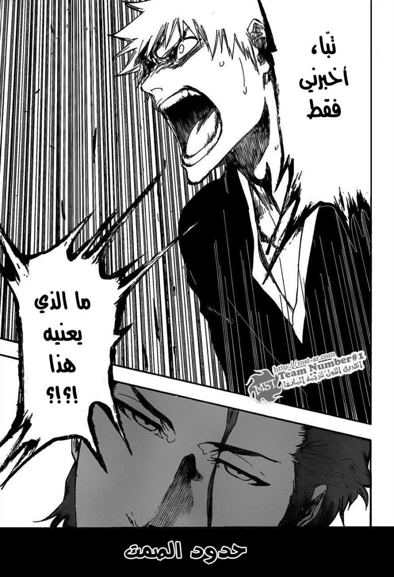 Read Bleach AR Manga Online