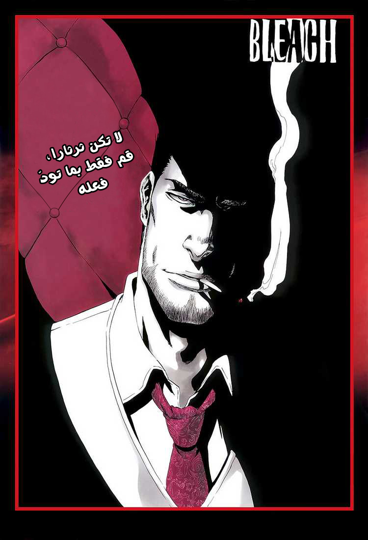 Read Bleach AR Manga Online