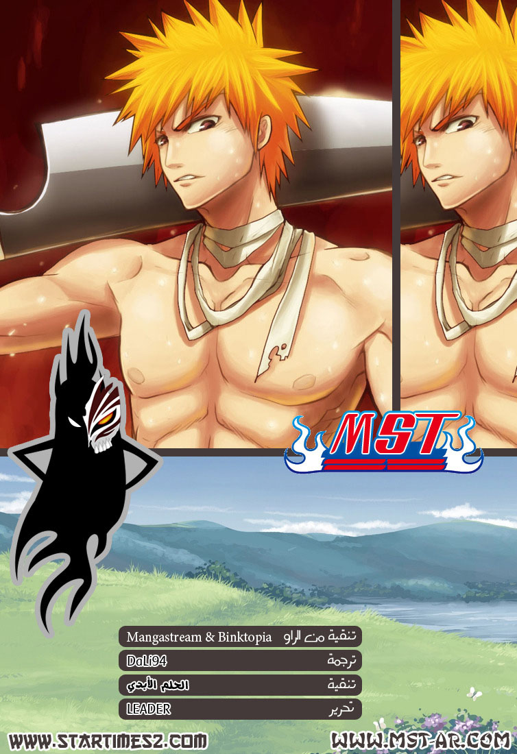 Read Bleach AR Manga Online