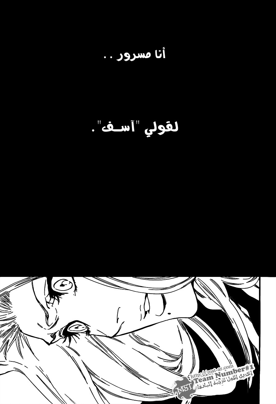 Read Bleach AR Manga Online