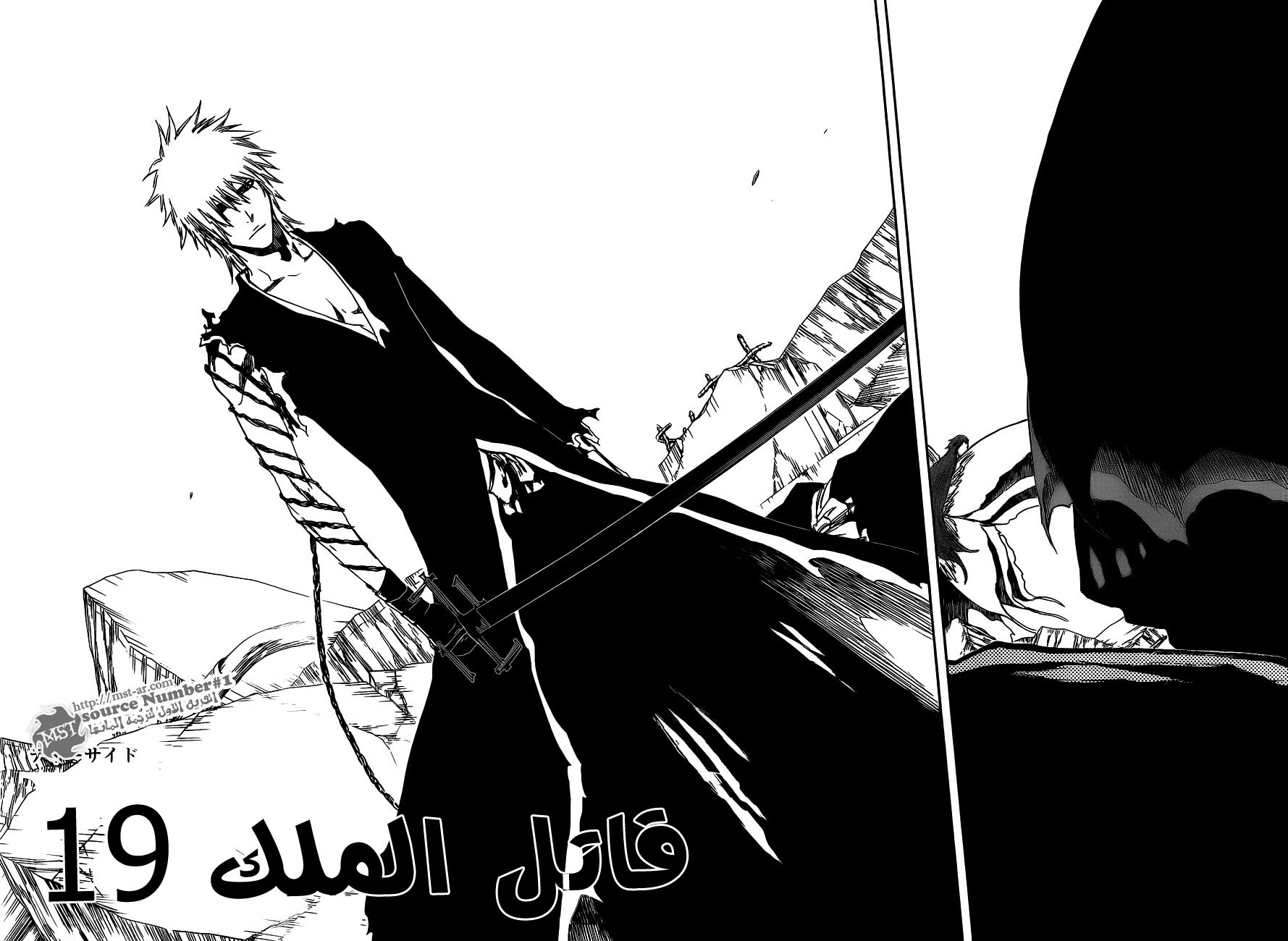 Read Bleach AR Manga Online