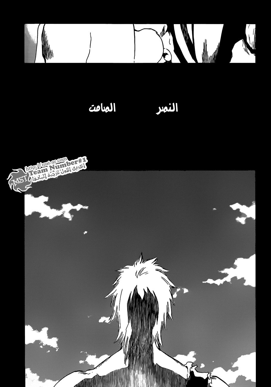 Read Bleach AR Manga Online
