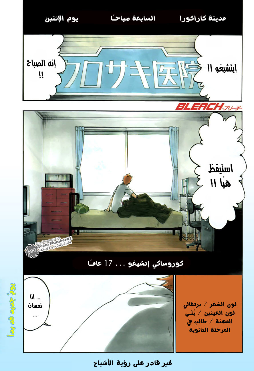 Read Bleach AR Manga Online