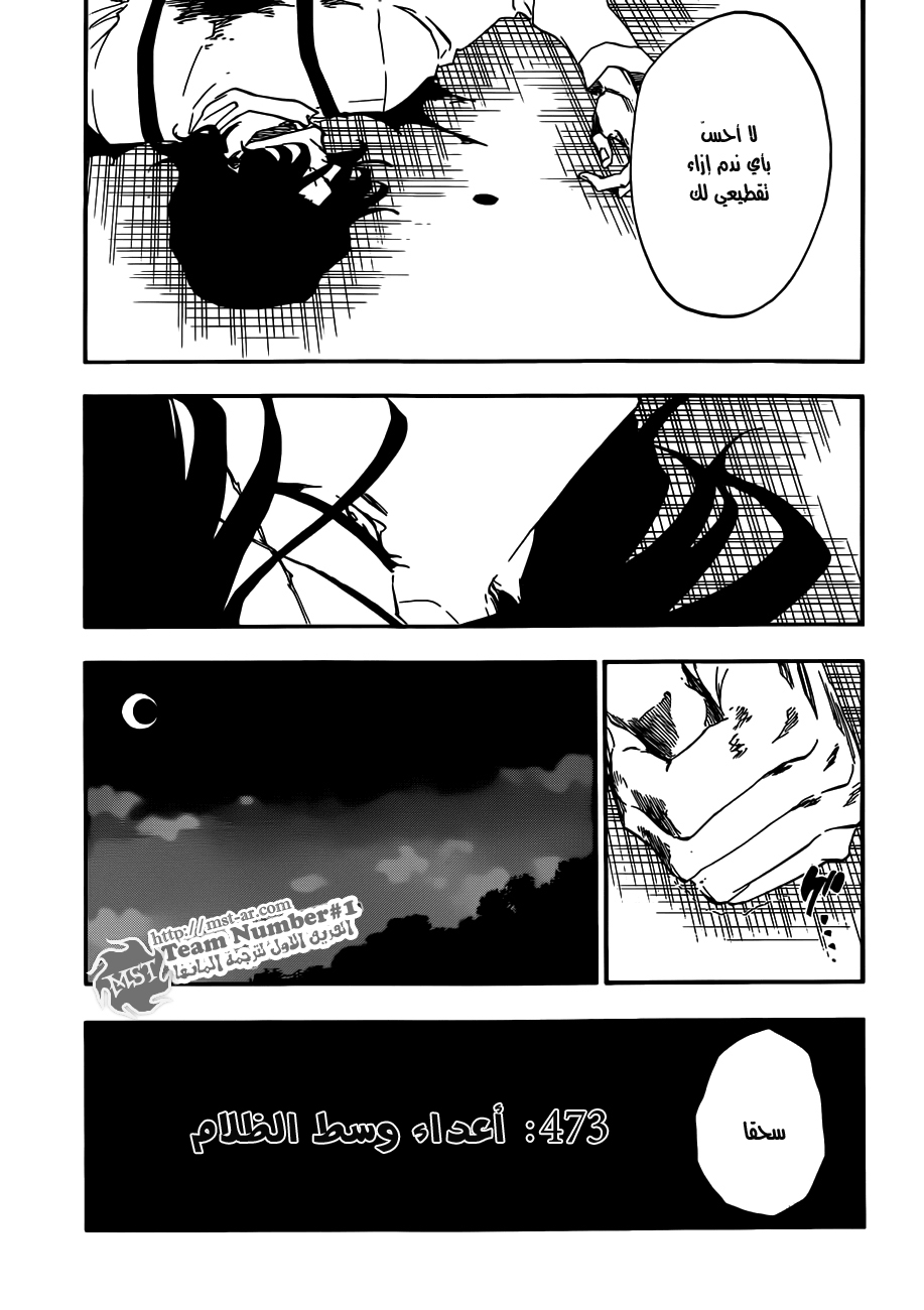 Read Bleach AR Manga Online