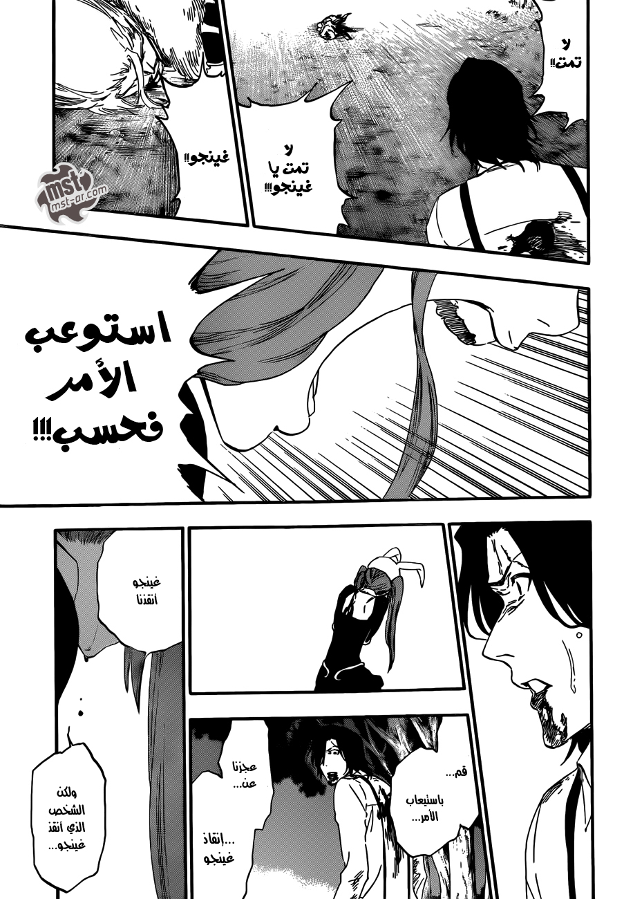 Read Bleach AR Manga Online