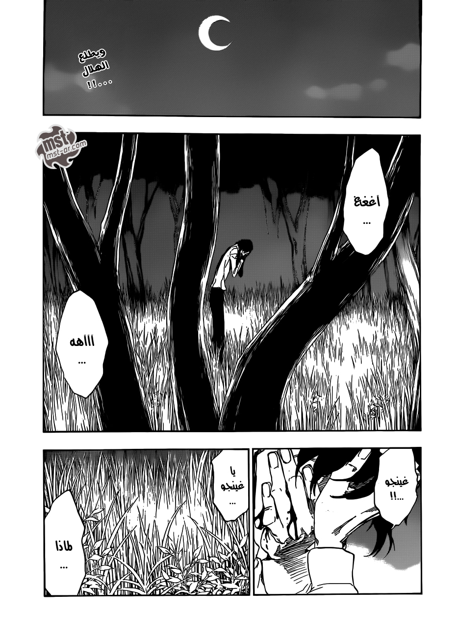 Read Bleach AR Manga Online