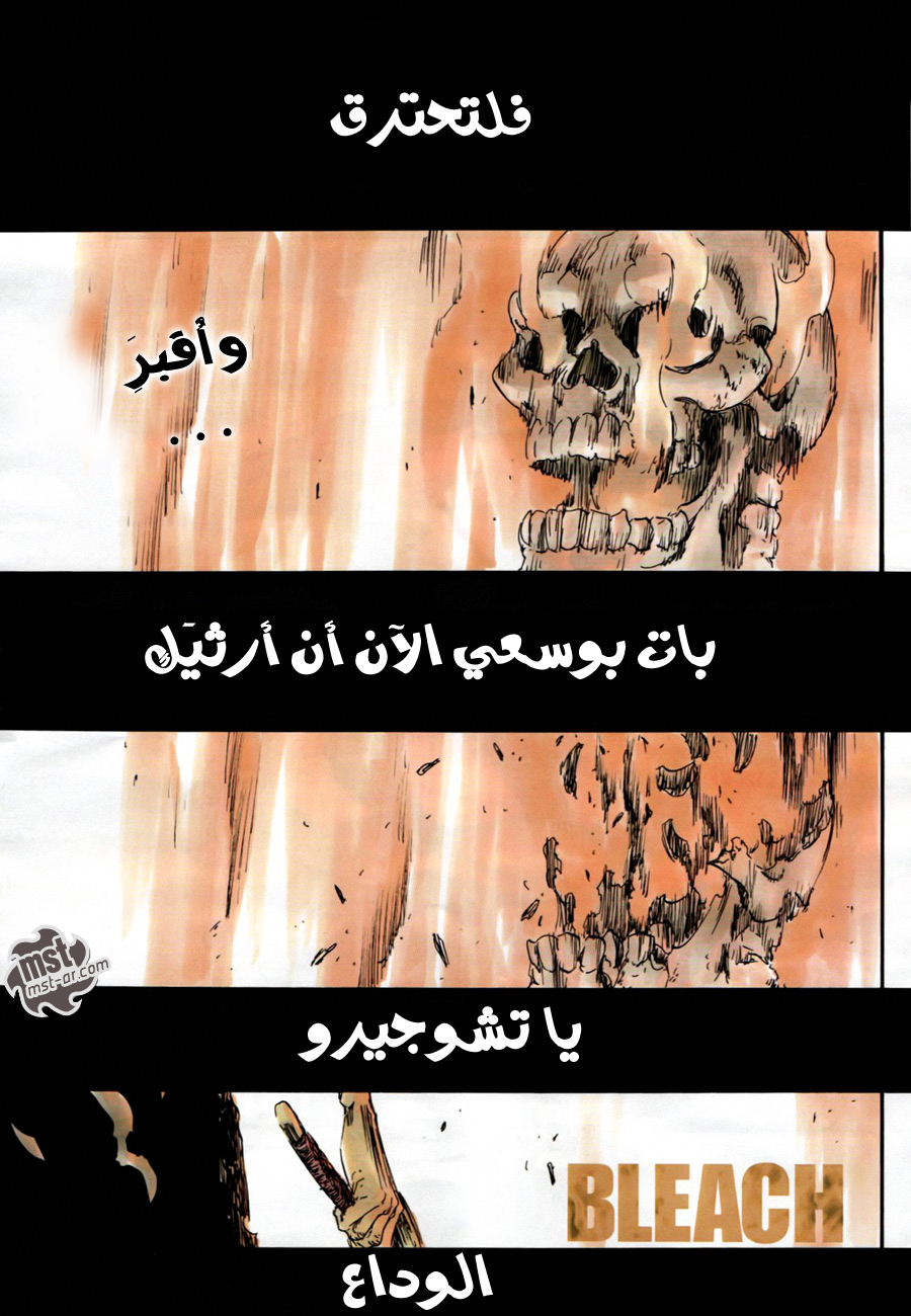 Read Bleach AR Manga Online