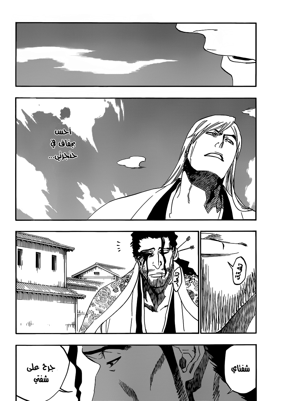 Read Bleach AR Manga Online