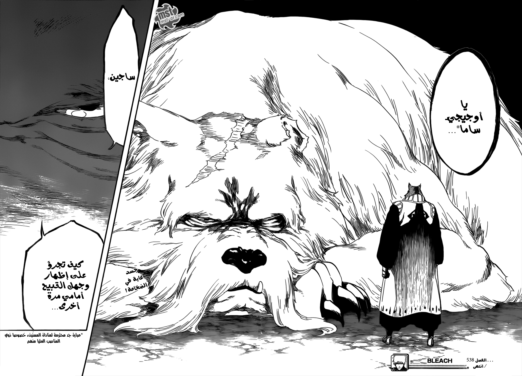 Read Bleach AR Manga Online
