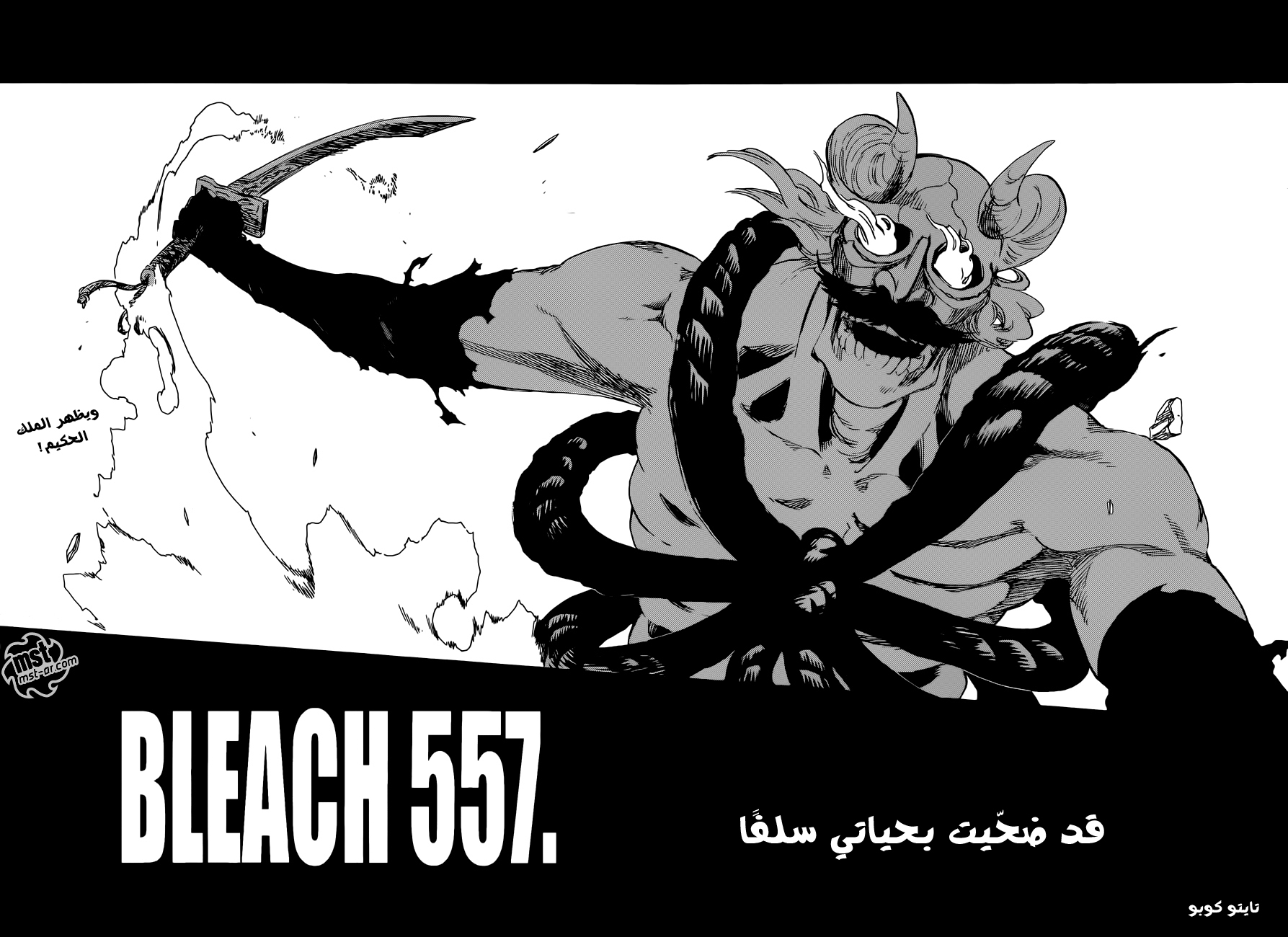 Read Bleach AR Manga Online