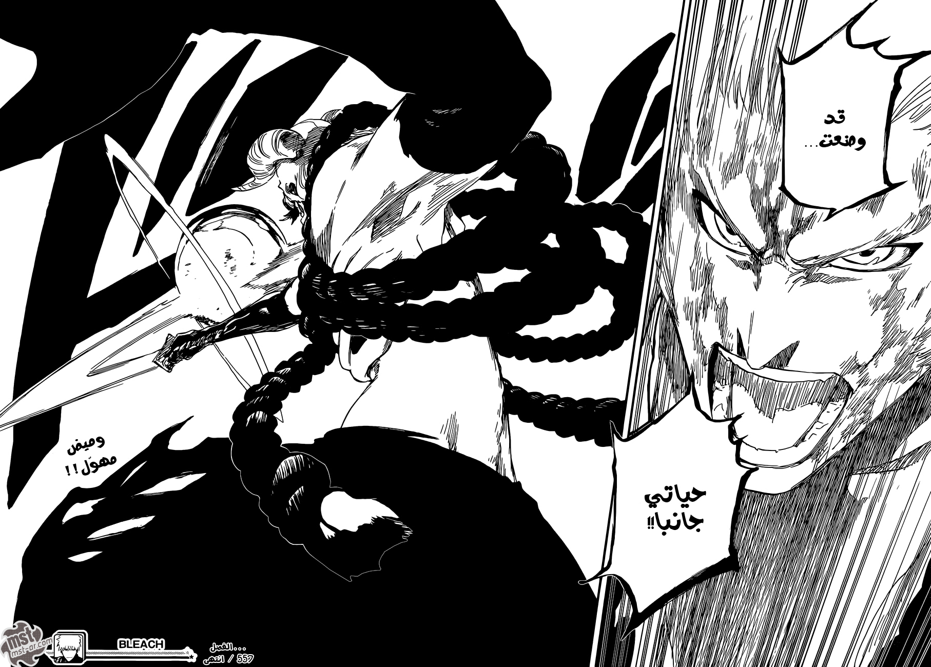 Read Bleach AR Manga Online