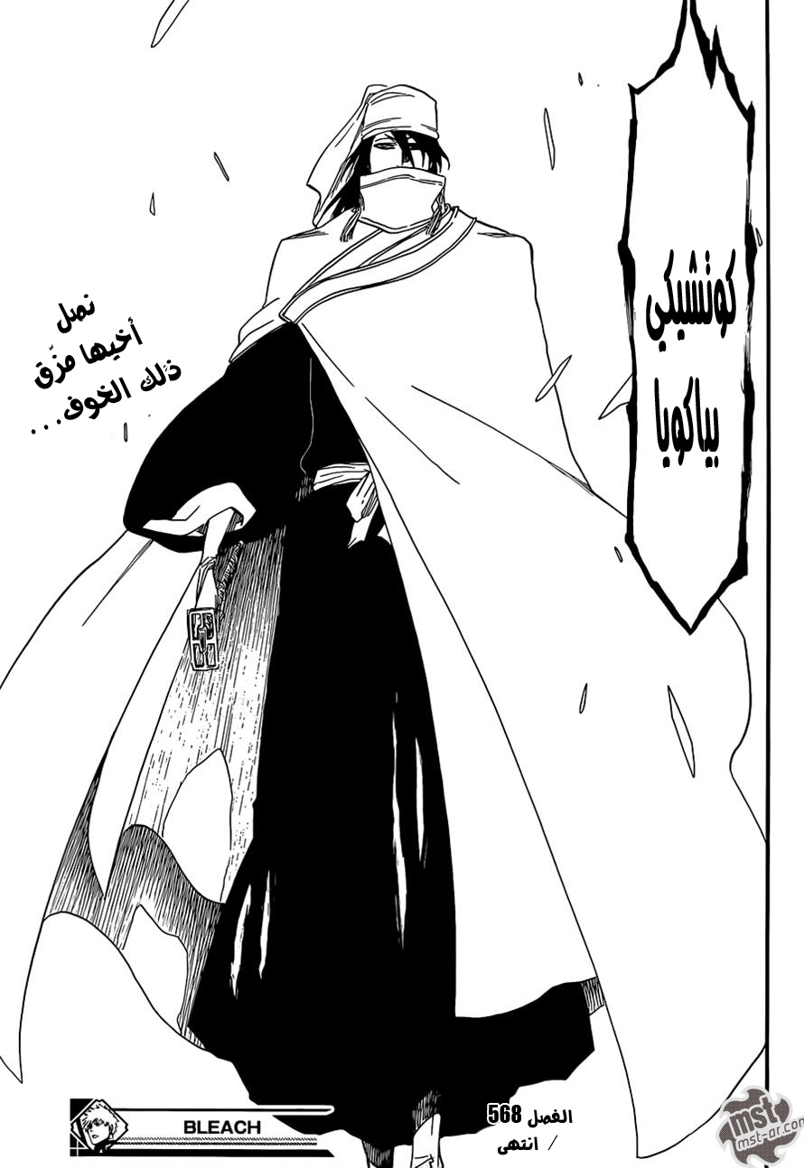 Read Bleach AR Manga Online