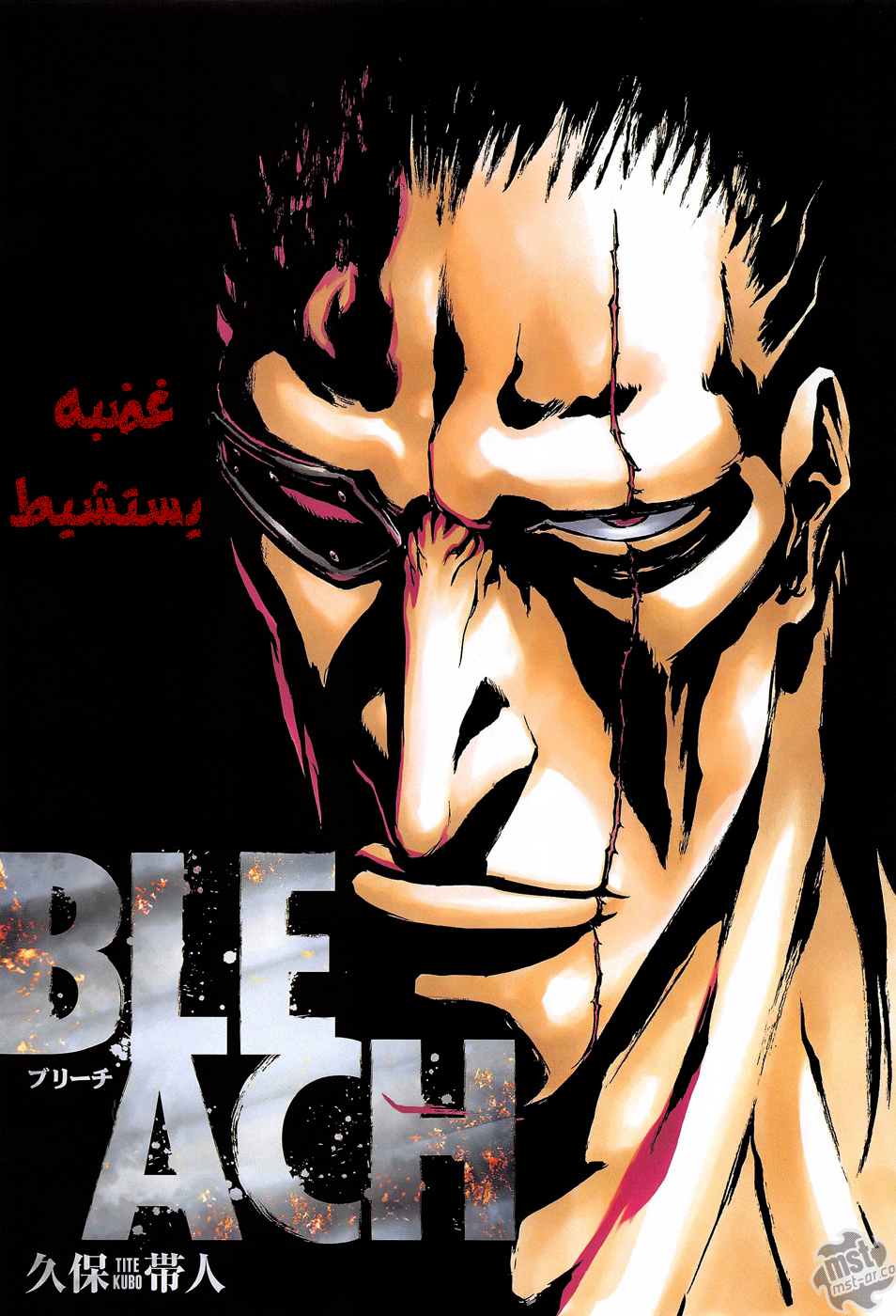Read Bleach AR Manga Online