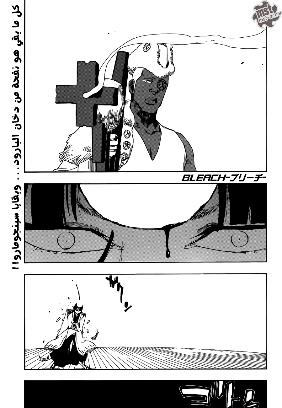 Read Bleach AR Manga Online