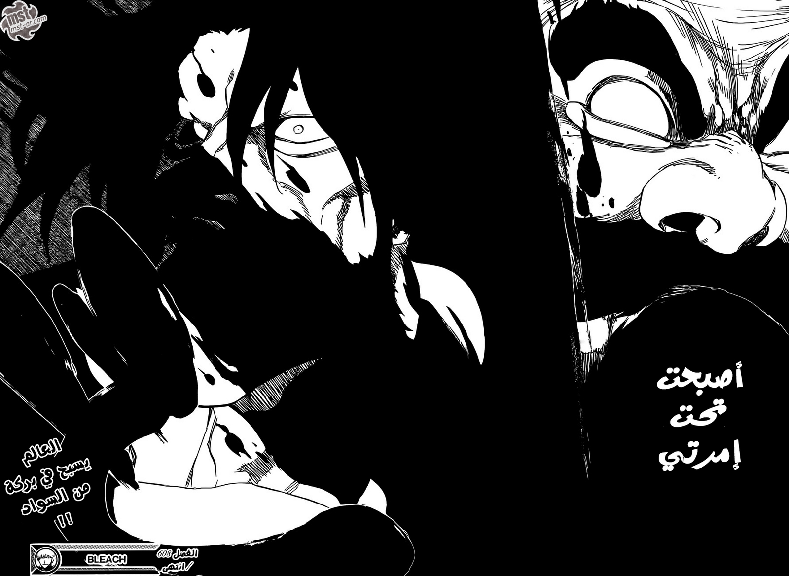 Read Bleach AR Manga Online