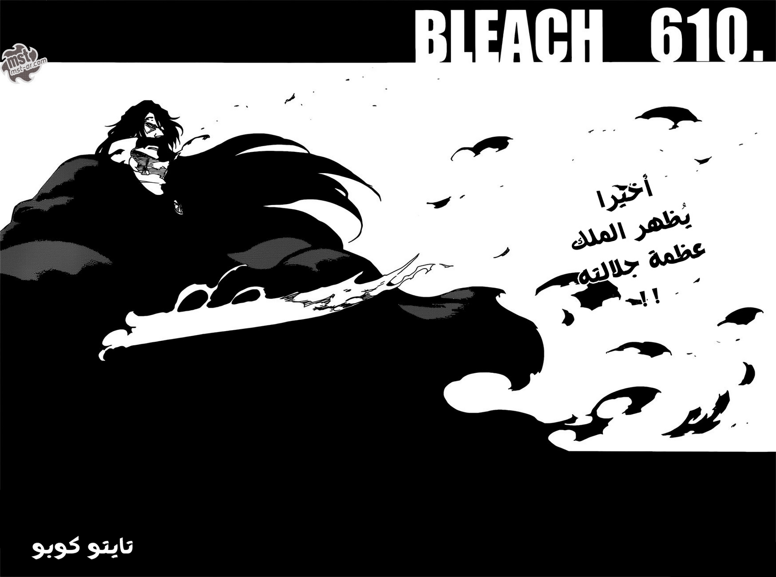 Read Bleach AR Manga Online