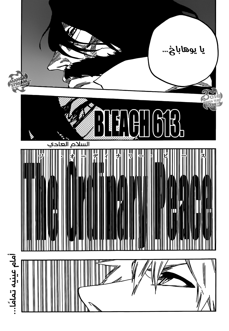 Read Bleach AR Manga Online