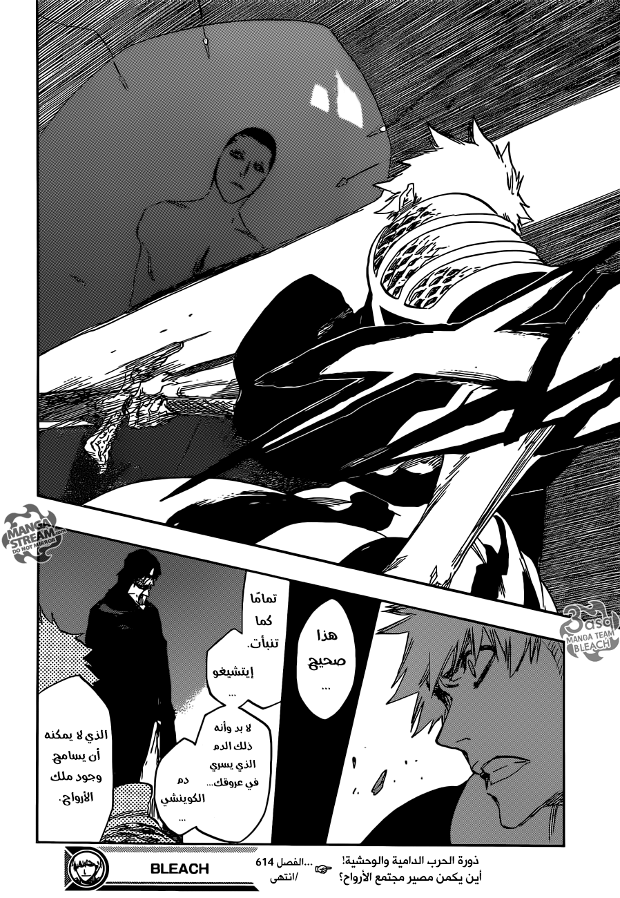 Read Bleach AR Manga Online