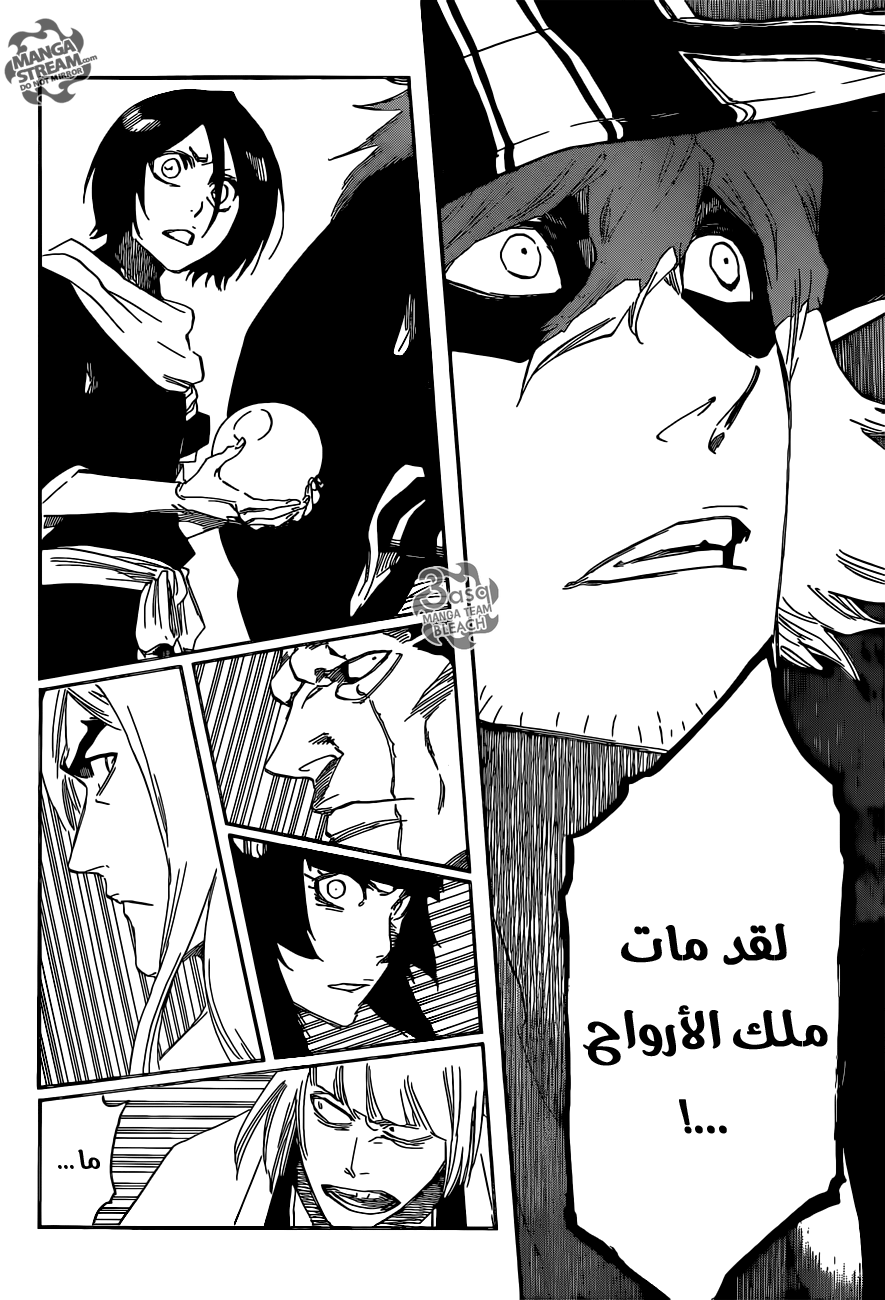 Read Bleach AR Manga Online