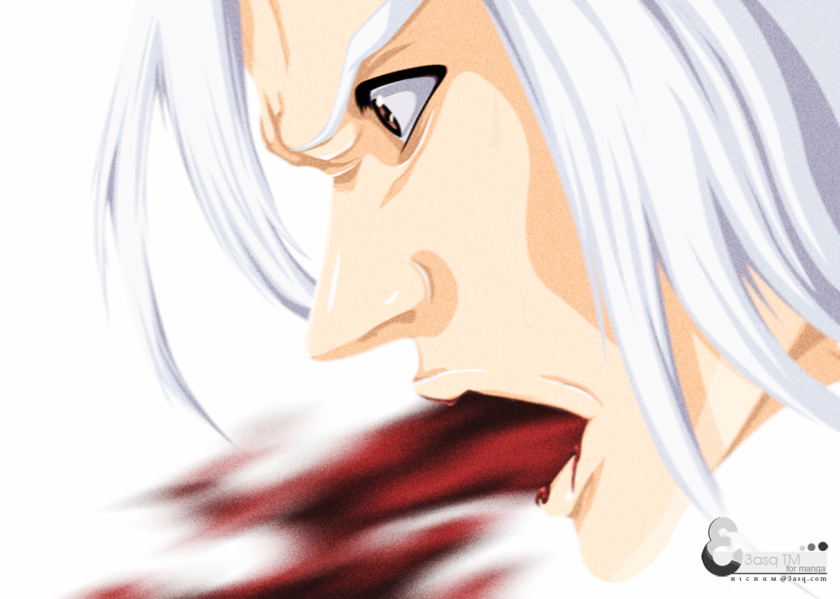 Read Bleach AR Manga Online