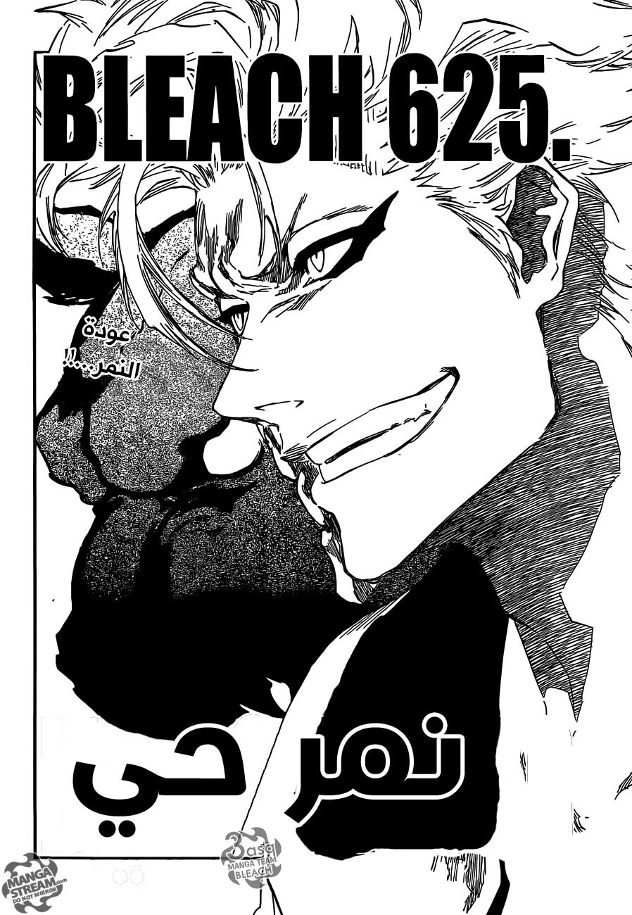 Read Bleach AR Manga Online